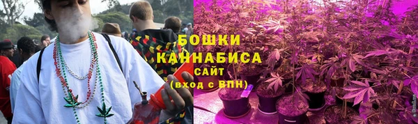 стаф Вязники