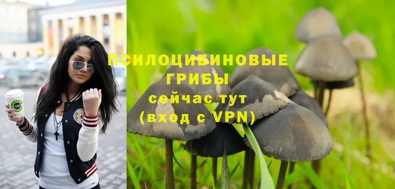 OMG онион  Котельниково  Галлюциногенные грибы Psilocybe  купить наркотики сайты 